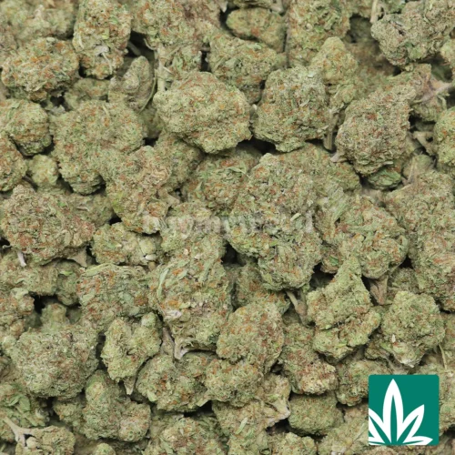 Acapulco Gold Strain - 2