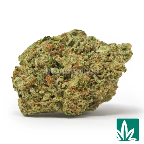 Acapulco Gold Strain - 1