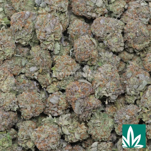 Bubba Kush Strain - 2