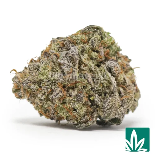 Bubba Kush Strain - 1