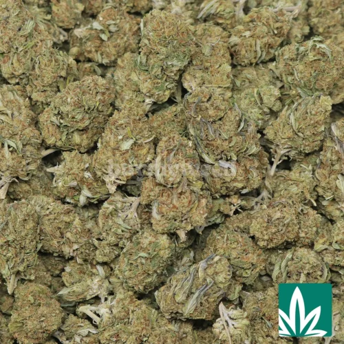 Carbon Fiber Strain - 2