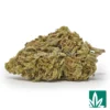 Carbon Fiber Strain - 1