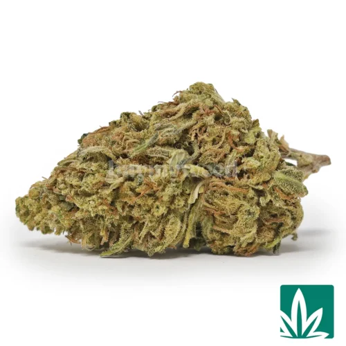 Carbon Fiber Strain - 1