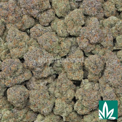 Cherry Gas Strain - 2