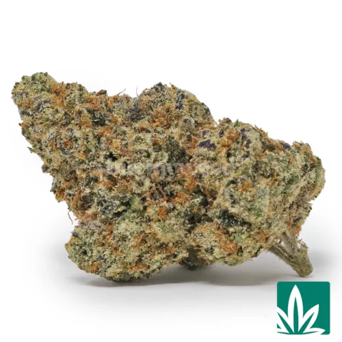 Cherry Gas Strain - 1