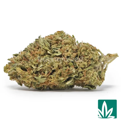 Crystal Coma Strain - 1
