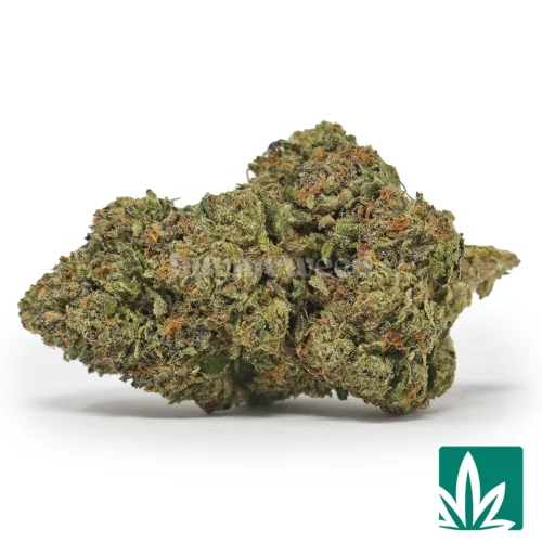 Double Runtz Strain - 1