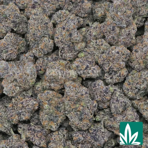 Exotic Blue Nerdz Strain - 2