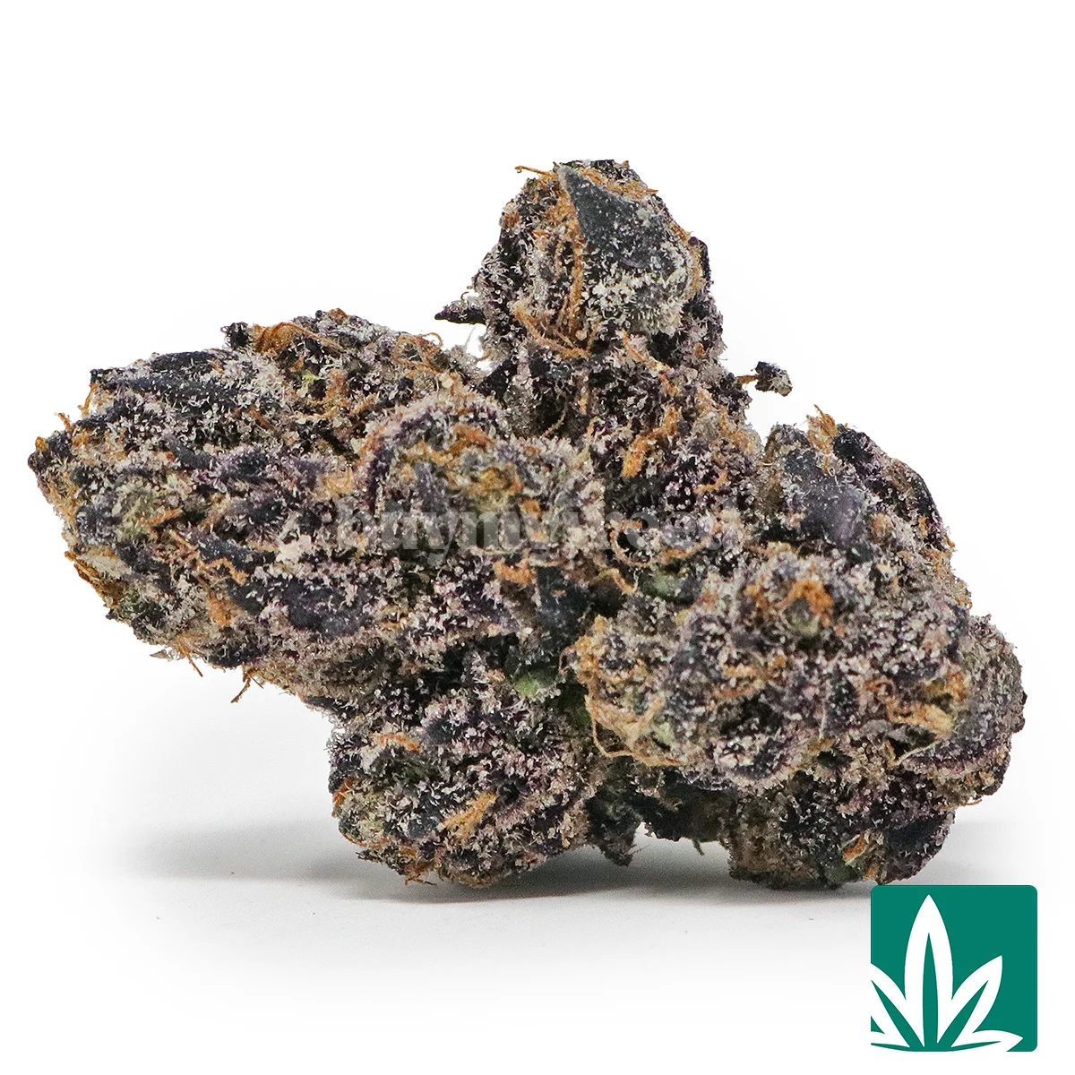 Exotic Blue Nerdz Strain - 1
