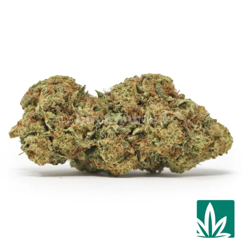 Grape God Strain - 1