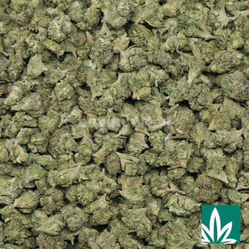 Grape Spritzer 'Smalls' Strain - 2