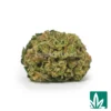 Grape Spritzer 'Smalls' Strain - 1