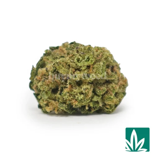 Grape Spritzer 'Smalls' Strain - 1