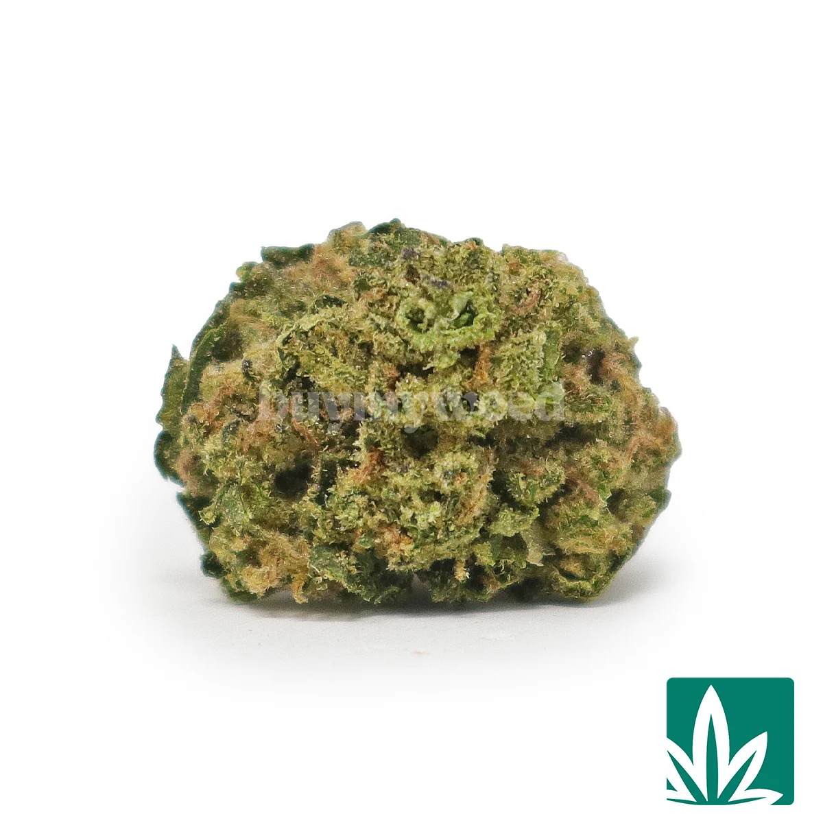 Grape Spritzer 'Smalls' Strain - 1