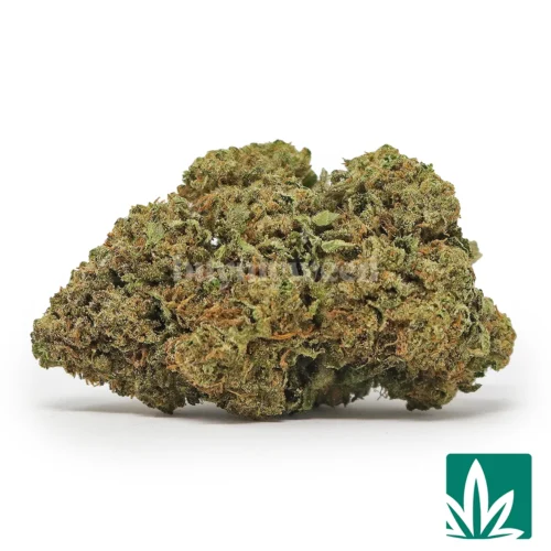 Campfire Cookies Strain - 1