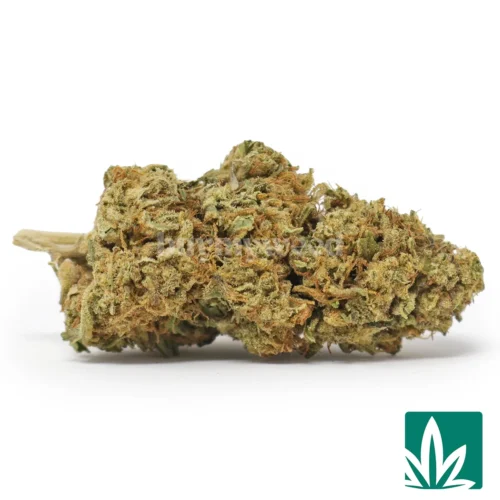 Kush Crasher Strain - 1