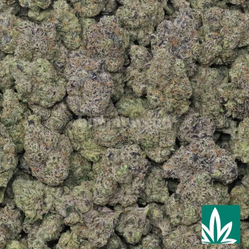 Rainbow Belts Strain - 2