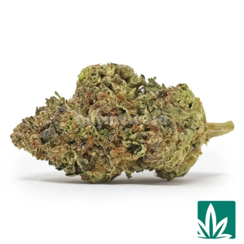 Red Velvet Strain - 1