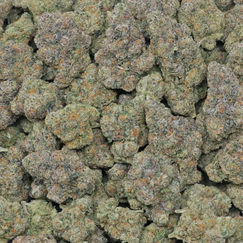 Sundae Driver Strain - 2