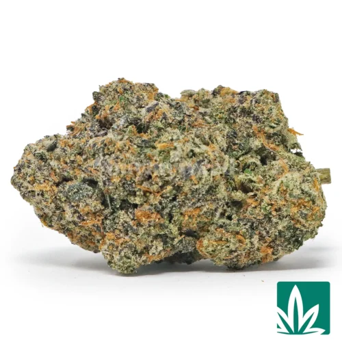 Sundae Driver Strain - 1