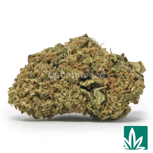 Thin Mint Cookies Strain - 1