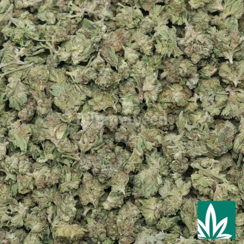 Wedding Crasher 'Smalls' Strain - 2