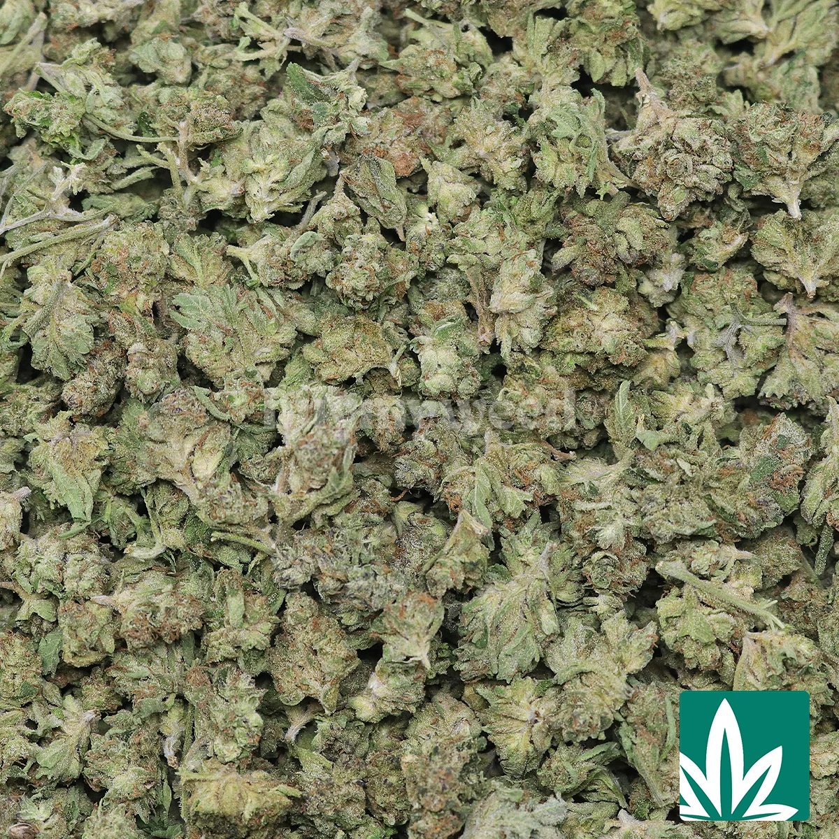 Wedding Crasher 'Smalls' Strain - 2