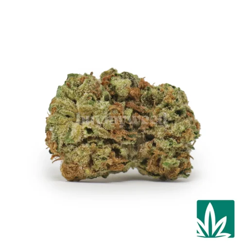 Wedding Crasher 'Smalls' Strain - 1