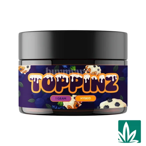 Toppinz Badder 1g - Blueberry Fritters