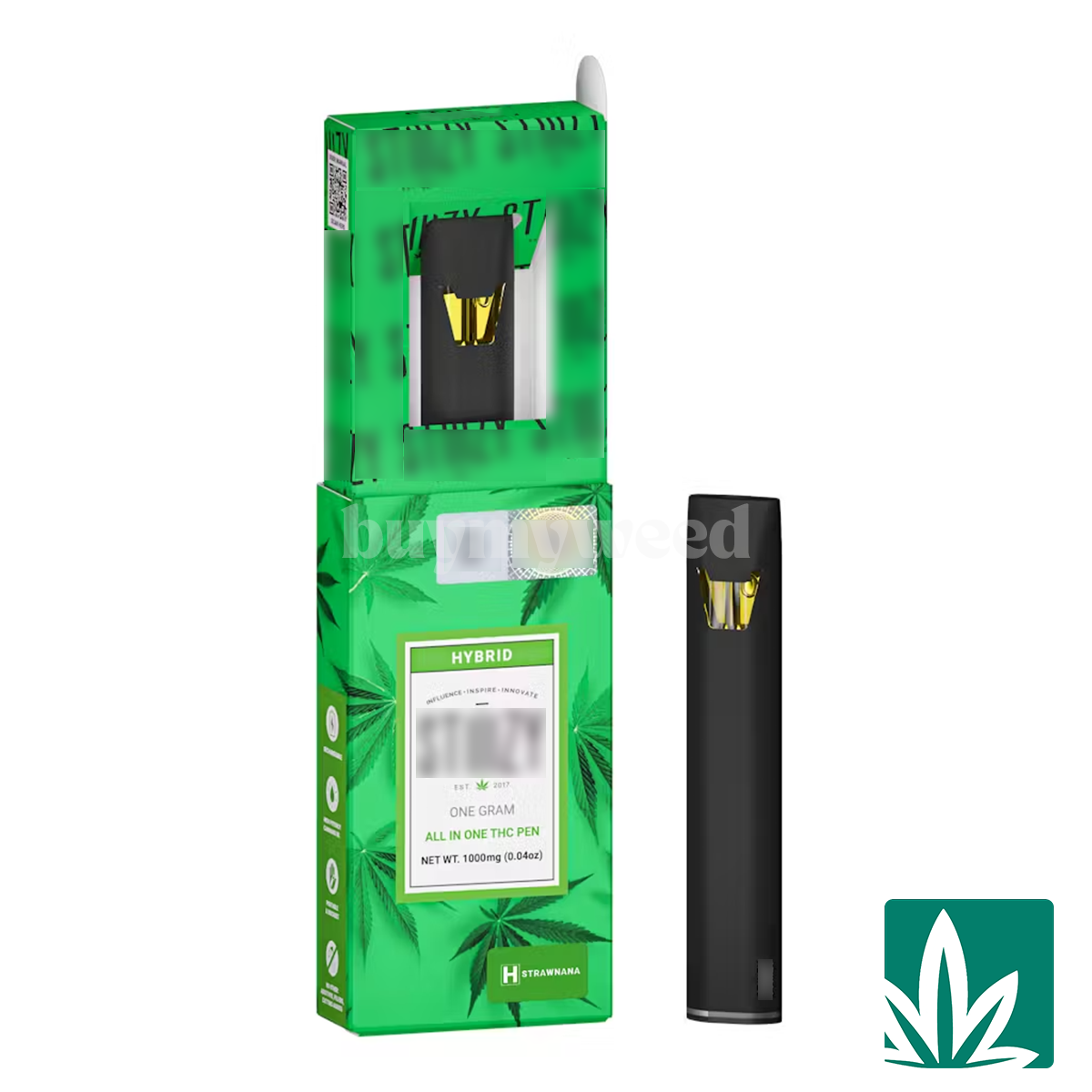 STZY Vape All in One (1g) - Strawnana