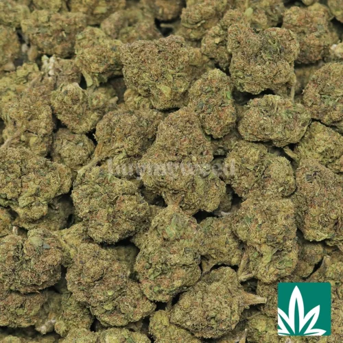 Blue Runtz Strain - 2