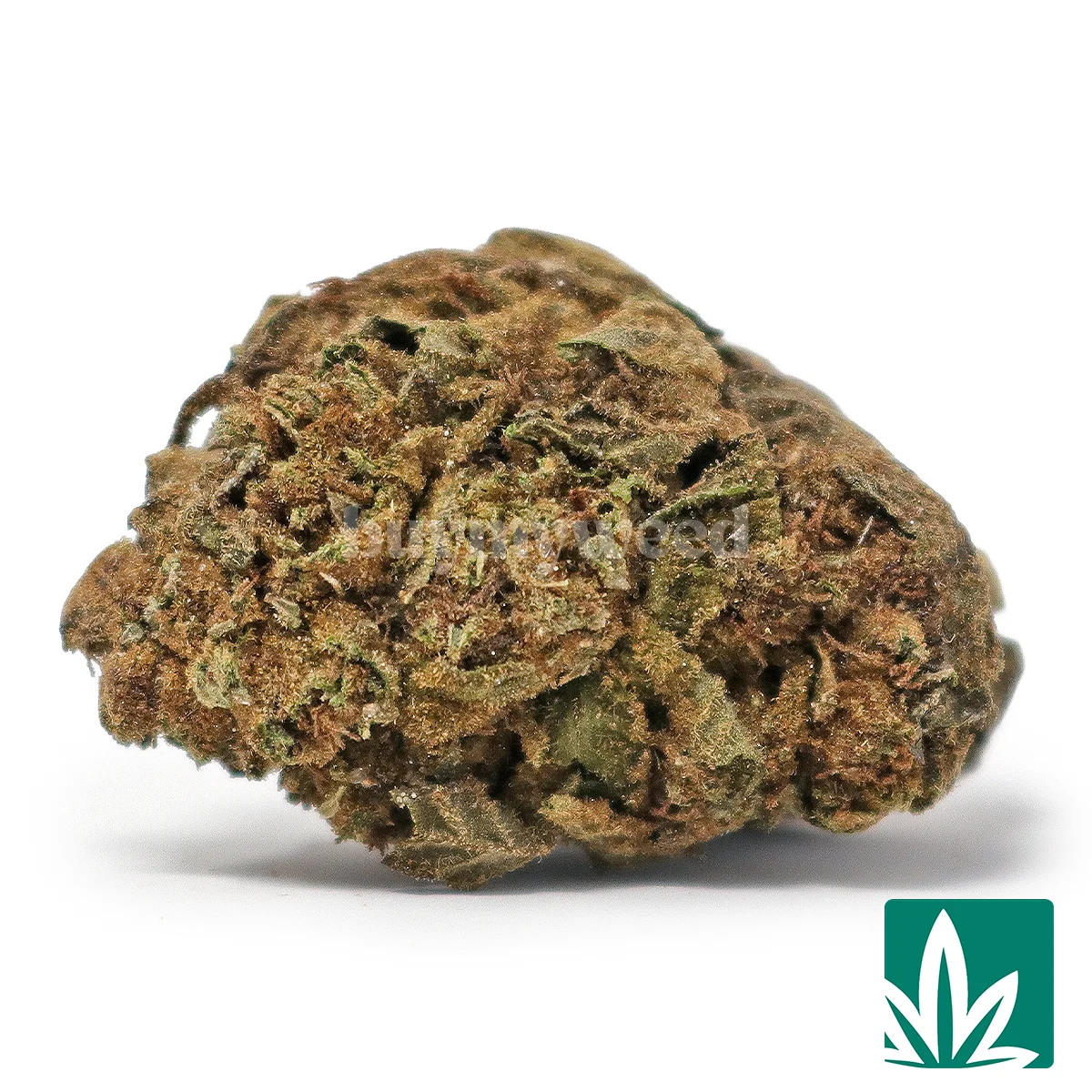 Candy Gelato Strain - 1