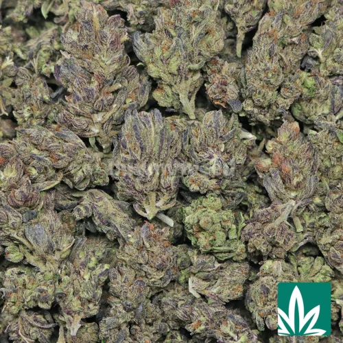 Candy Runtz Strain - 2