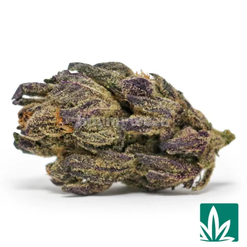 Candy Runtz Strain - 1