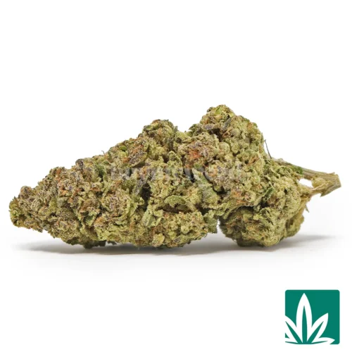 Cookie Butter Strain - 1