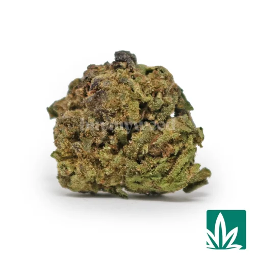 Gelato 47 'Smalls' Strain - 1