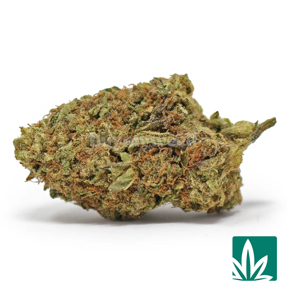 Gelato Ice Strain - 1