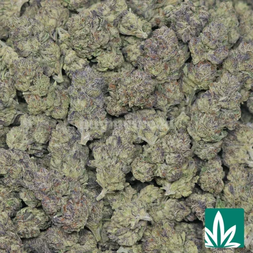 Gelonade Strain - 2
