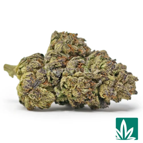 Gelonade Strain - 1