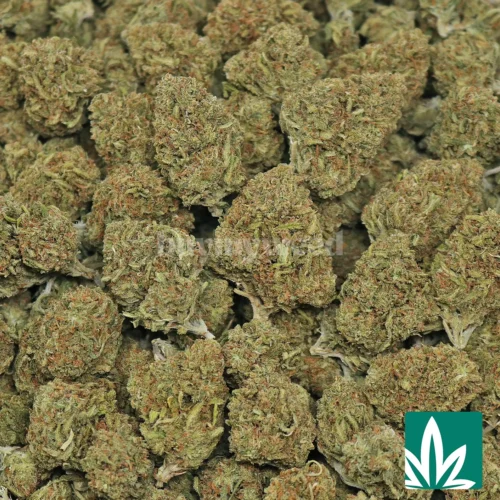 Green Crack Strain - 2