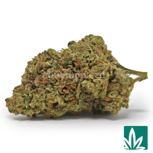 Ice Cream Cake Strain - 1