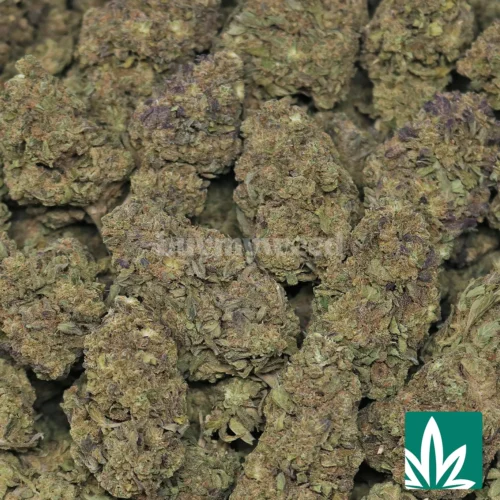 Northern Lights Strain - 2