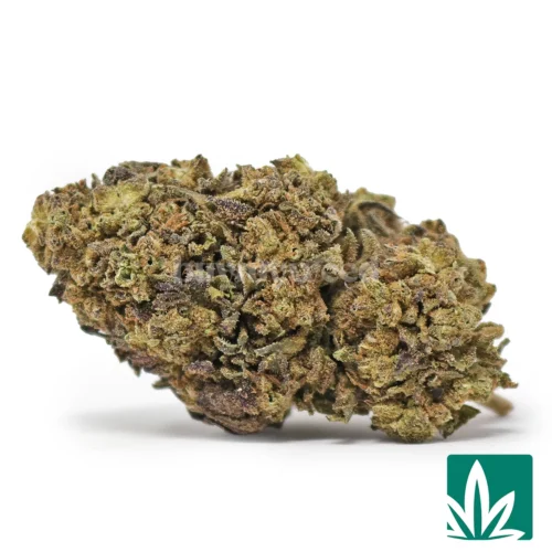 Northern Lights Strain - 1