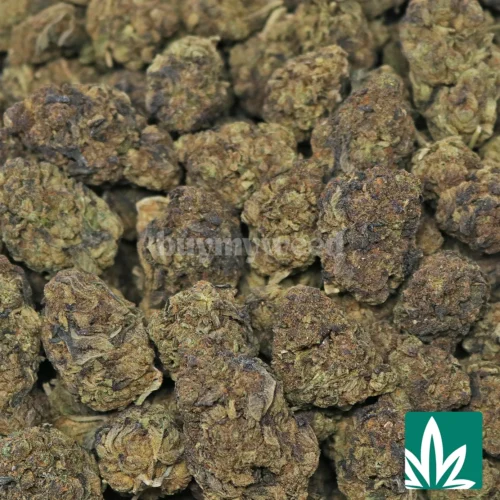 Peanut Butter Breath Strain - 2