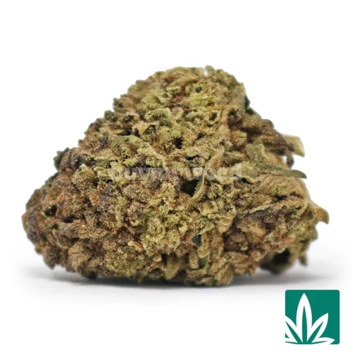 Peanut Butter Breath Strain - 1