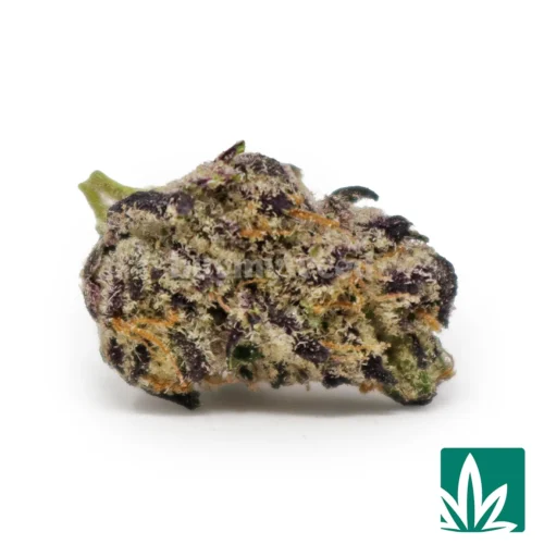 Purple Push Pop 'Smalls' Strain - 1