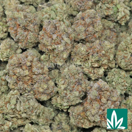 Strawberry Cough Strain - 2