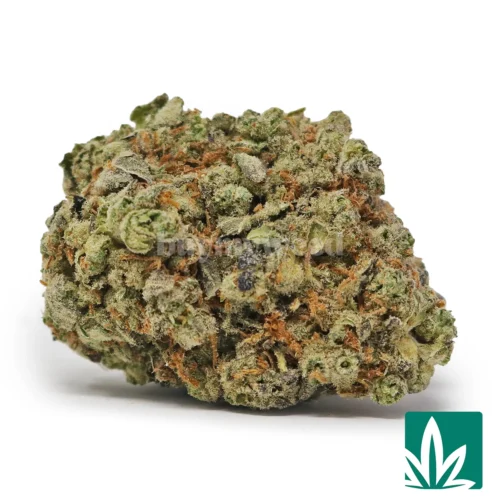 Strawberry Cough Strain - 1