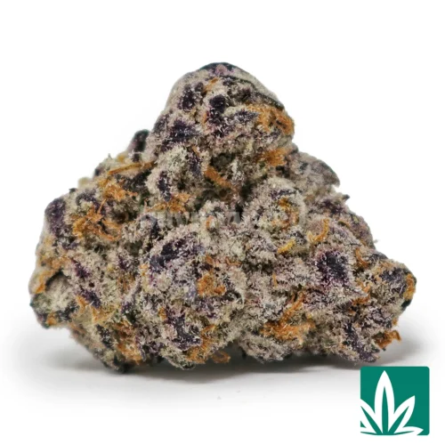 Sugar Rim Strain - 1