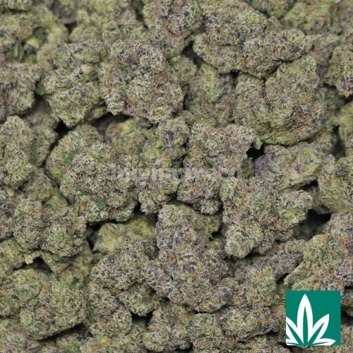 Sunset Runtz Strain - 2